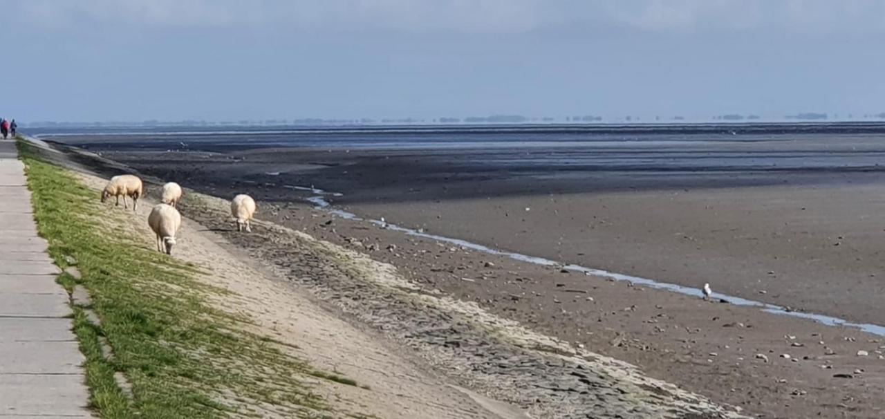 דירות ווילהלמסהאבן Fewo Mit Meerblick - Direktzugang Zur Nordsee מראה חיצוני תמונה